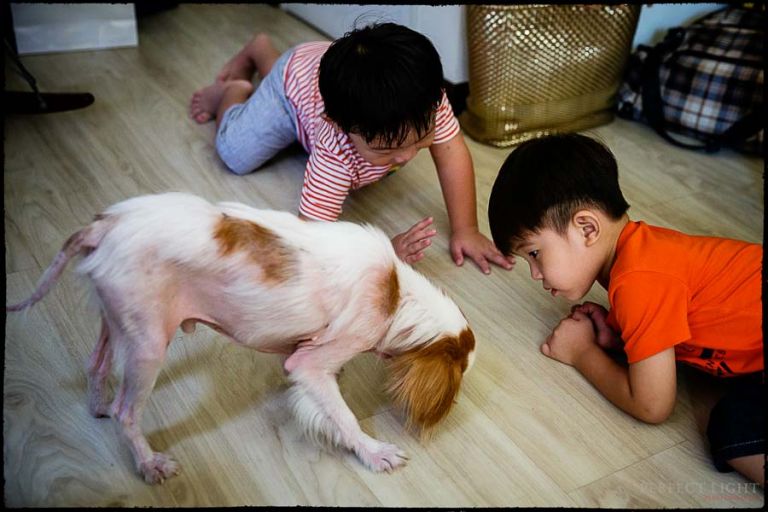 Joshua4thBDParty-Blog-24