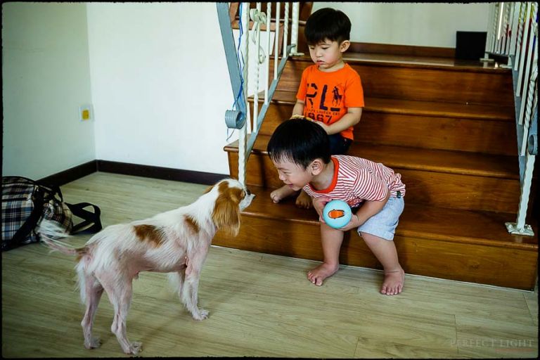 Joshua4thBDParty-Blog-26